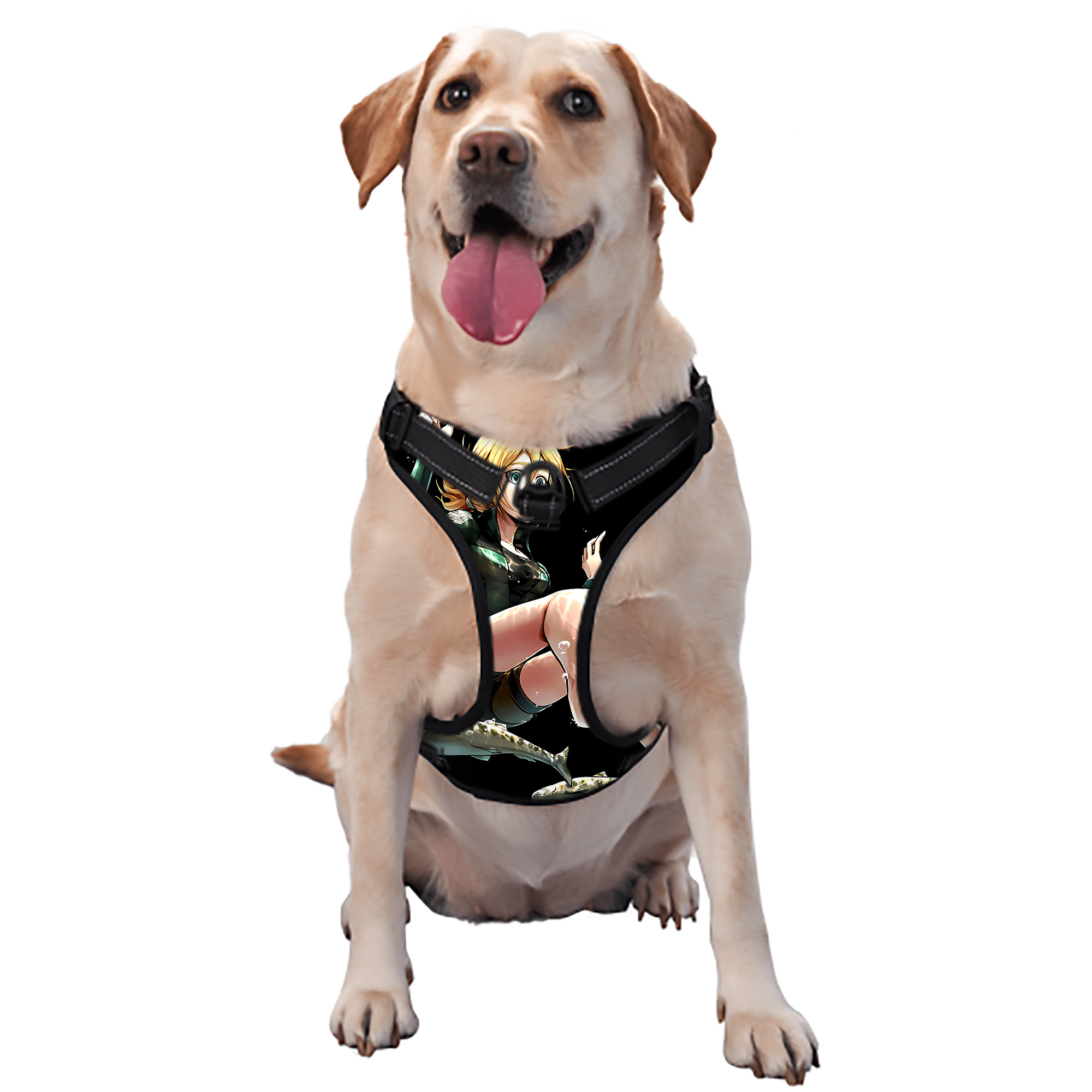 （画像用） 進撃の巨人 クリスタ·レンズ Attack on Titan Christa Lenz ペット用ハーネス